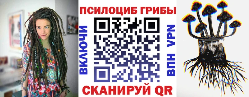 Галлюциногенные грибы GOLDEN TEACHER  дарнет шоп  Нестеров 